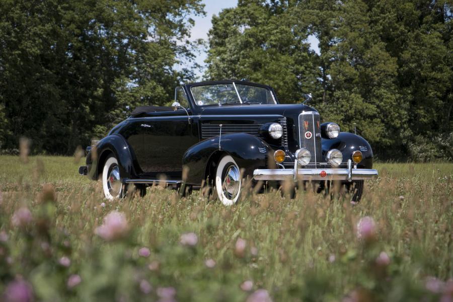  LaSalle Convertible Coupe (37-5067) 1937 года  (фото 8 из 12)